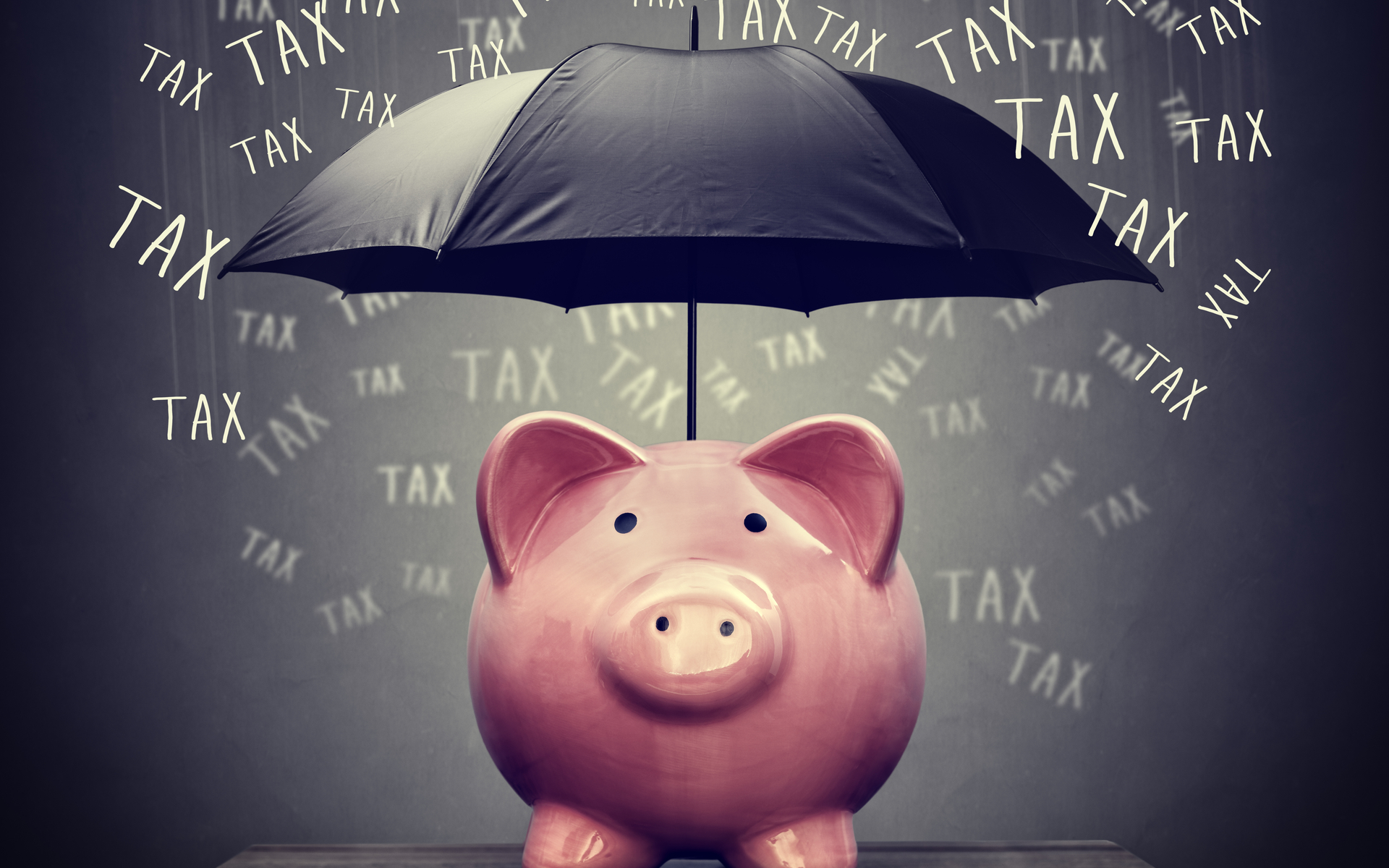 Ripple Affliate Foundation is a Tax Shelter