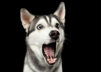 99% of crypto are dead