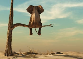 bitcoin price holding support