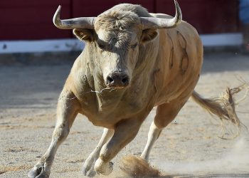 bitcoin entering 2020 bullish