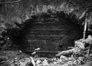 Could Bitcoin Halving Lead to a Mining Collapse?