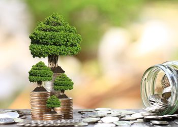 bitcoin roi positive mostly