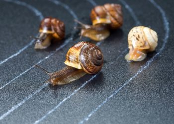 china win blockchain race