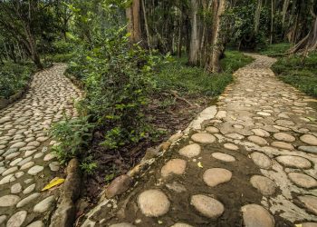 bitcoin ethereum not correlated