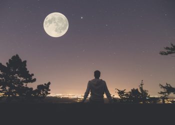 bitcoin price to moon