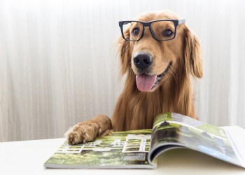 bitcoin weekly digest