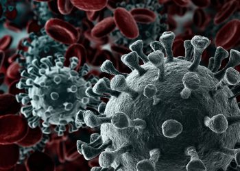 bitcoin vs coronavirus