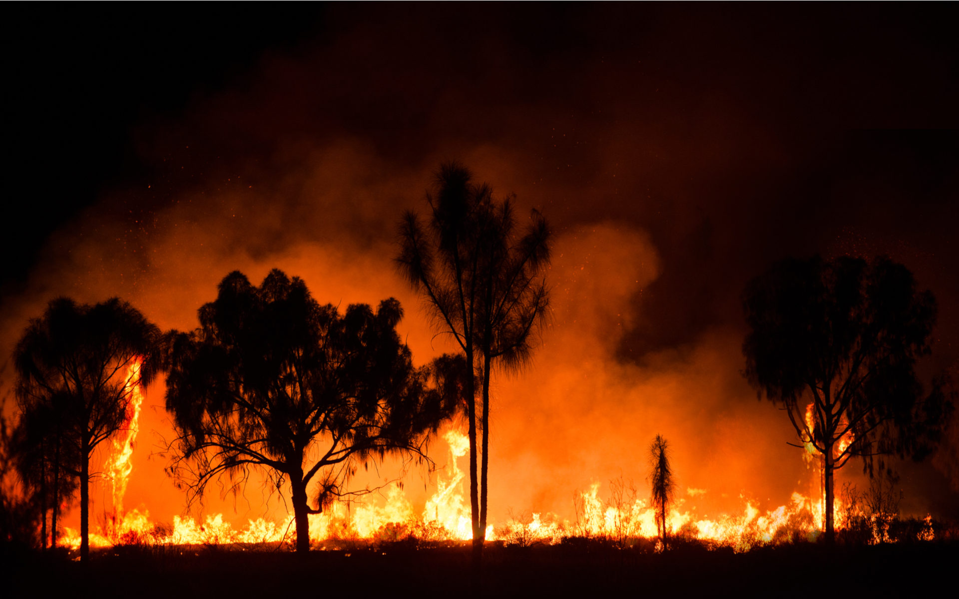 Bitcoin for Charity: BTC Donations are on for Australian Bush Fires