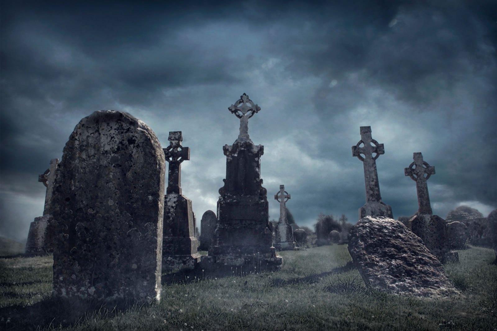 Dead Crypto Projects Declined in 2024, Are Altcoins Reviving?