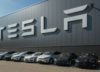 Tesla Vs Bitcoin: Which One You Should Hold by 2025?