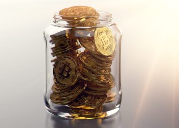 bitcoin hodl success