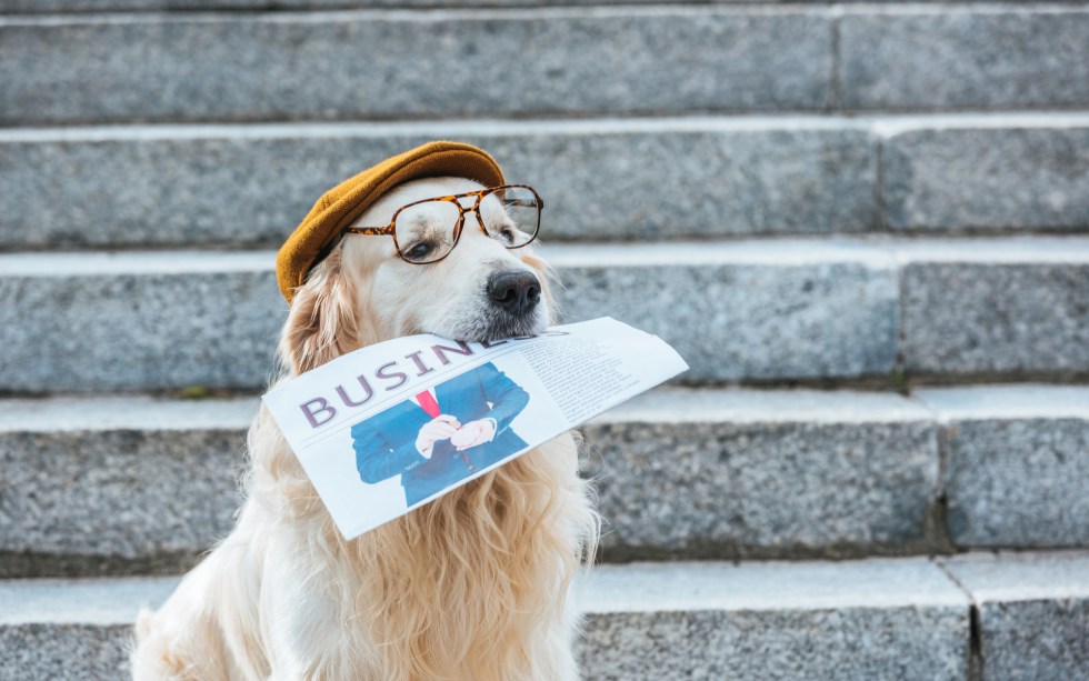 sunday bitcoin digest