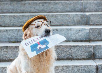 sunday bitcoin digest