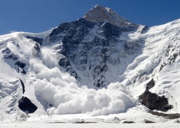 altcoins avalanche
