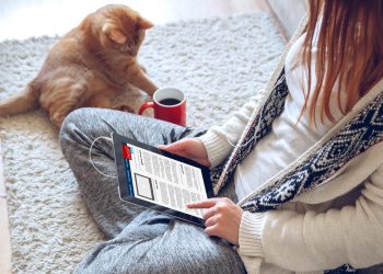 Sunday Digest: Bitcoin Price Crash and Other News