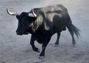 Will Bitcoin Price Hit $12,000 in Summer this Year?