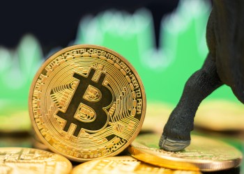 Op-Ed: Why You Should Hold Bitcoin Over Government Fiat?