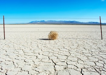 Did Somebody Turn Off the Bitcoin Cash Transaction Generator?