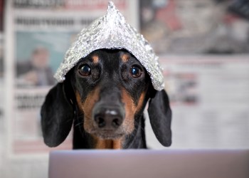 Bitcoin Pumps 8% Just as 40M Tether Moves to Bitfinex...