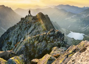 This One Crypto Coin Has Defied Today's Market Crash