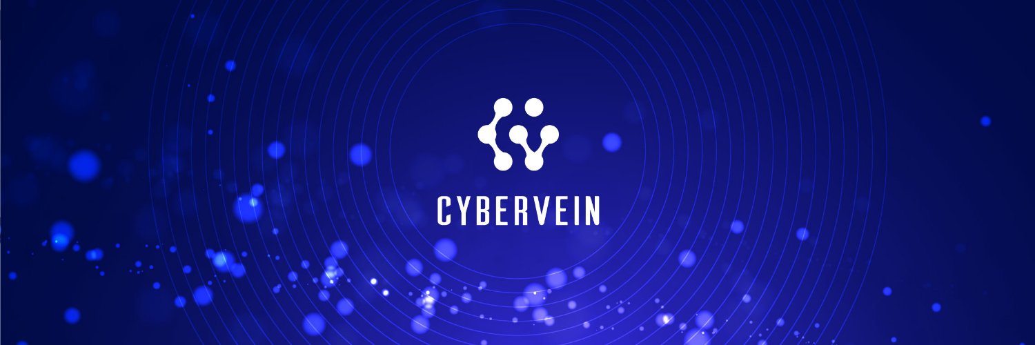 CyberVein: A Decentralized Data Distribution Network