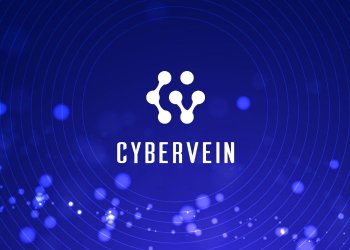 CyberVein: A Decentralized Data Distribution Network