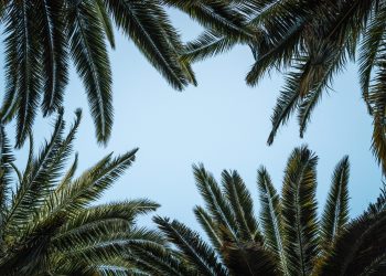 bitcoin price ross ulbricht