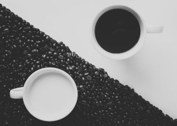 Bitcoin price featured image