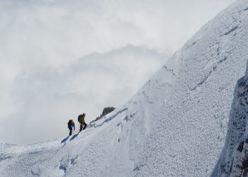 bitcoin, coronavirus, btcusd, xbtusd, tuur demeester, wall street bitcoin