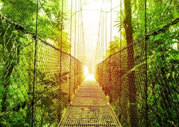 Blockchain Interoperability Is Finally Happening