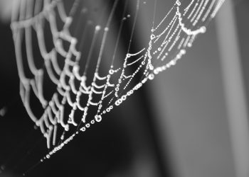 Ethereum Remains Trapped Beneath Key Level as Traders Flee Market