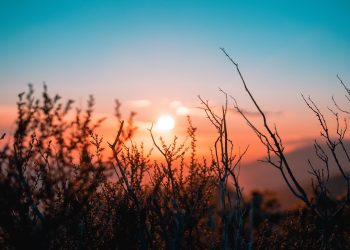 featured image sun for Bitcoin article