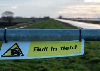 bitcoin, cryptocurrency, btcusd, btcusdt, xbtusd, crypto