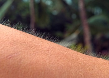 bitcoin, gold, xauusd, btcusd, btcusdt, cryptocurrency, crypto