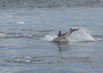 Aave’s LEND Token Dips 27% after Rising 10X; is More Pain Ahead?