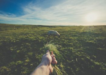 us dollar, bitcoin, cryptocurrency, us dollar index, btcusdt, btc usd, stablecoin