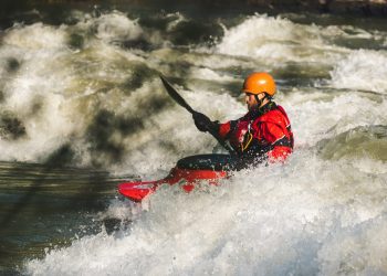 cryptocurrency market survival