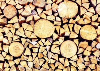 Polkadot Reveals Details of Upcoming DOT Redenomination