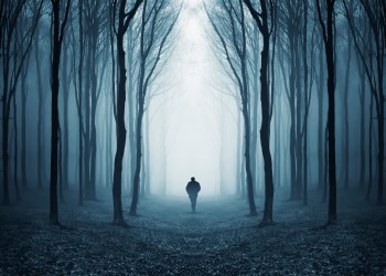 Why Analysts Expect XRP Drop as the Cryptocurrency Slides Lower