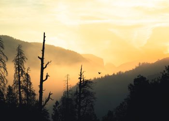 This Eerie Fractal Predicts Bitcoin Will Consolidate For Another 2 Weeks