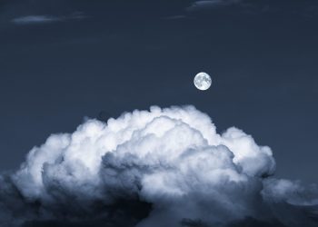 Analysts Are Watching This Level After Bitcoin Price Plunged Under $12,000