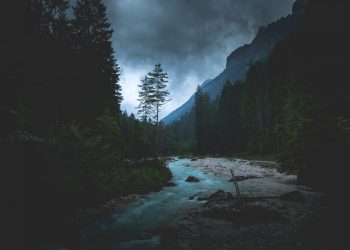 Here’s Why This Historically Accurate Analyst Thinks Bitcoin is In No Man’s Land