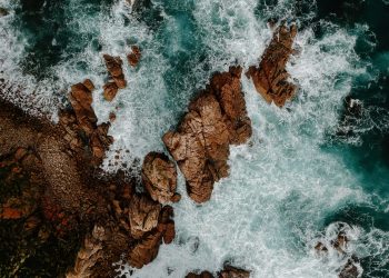 There’s a Mass of Analysts That Think Chainlink (LINK) Will Drop After Falling 25%