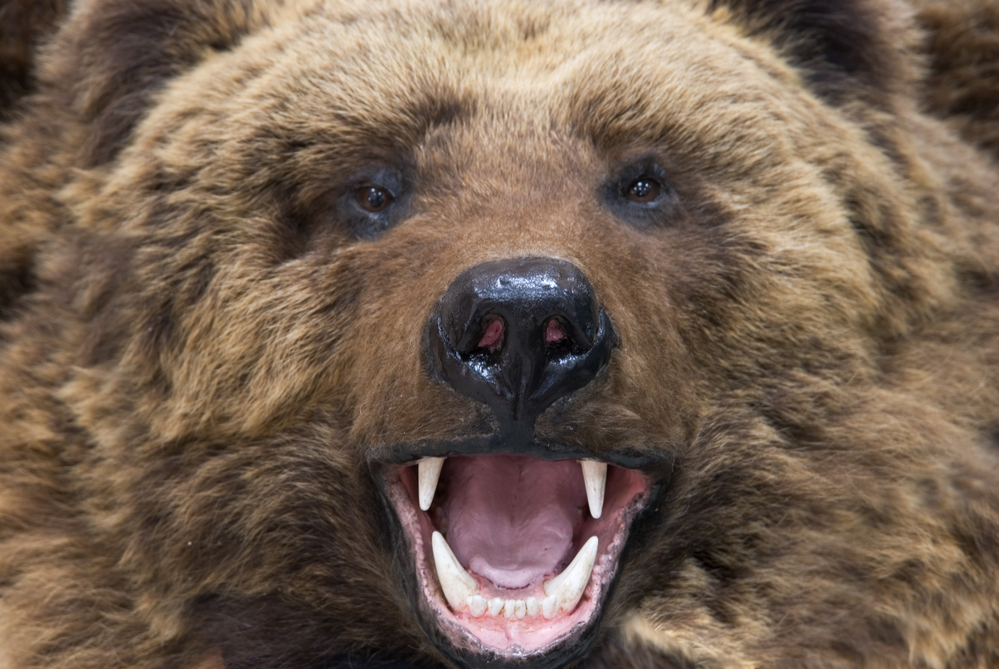 Bitcoin Analyst Alerts of Looming 'Bear Cross' as Price Jumps Higher