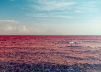 bitcoin dollar dxy btcusd