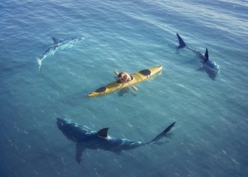 bitcoin, btcusd, btcusdt, xbtusd, cryptocurrency, dollar, dxy