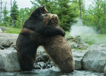 Bitcoin Paints Two Bearish Signals as Price Holds $13K; What’s Next?