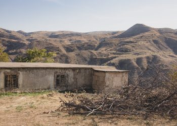 Tyler Winklevoss: Bitcoin Will “Be Your Only Refuge” in the Future