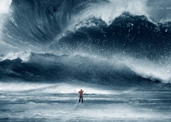 bitcoin biden blue wave dollar usd