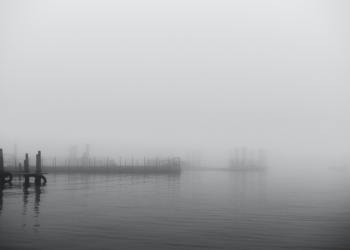 These 5 Ethereum Coins Are Being Accumulated by “Whales”